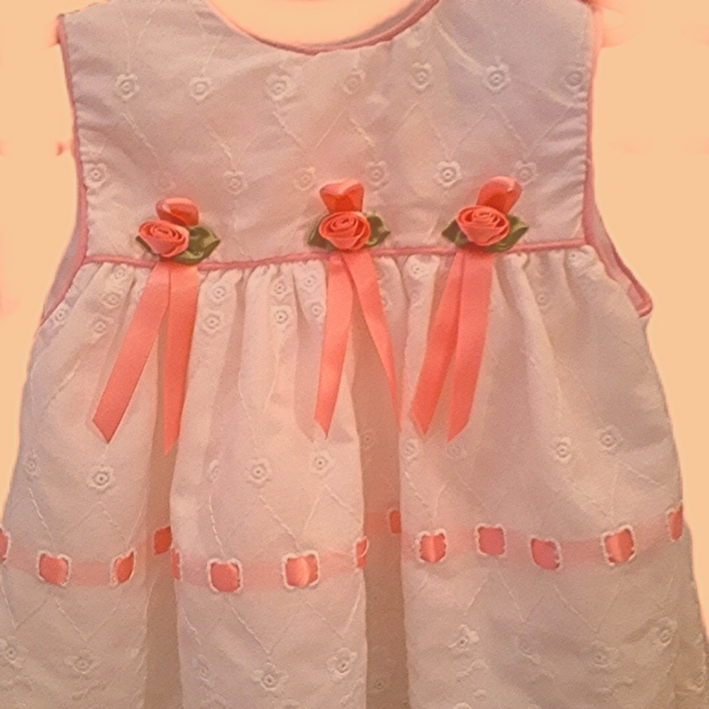 Adorable Rosebud dress with eyelet detail. Clean white and pink 0-3 Month dress.